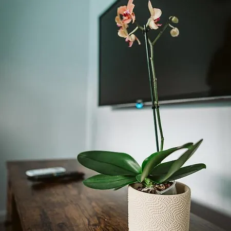 Appartement Hercegovina